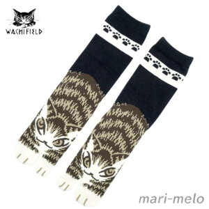 y yjIz _ 킿ӂ[ _ObY C ܃\bNX L̂ہE3 L ˂ lR ObY L̃_ dayan  LD 킢 LN^[ 25D