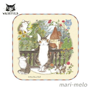 y yjIz _ 킿ӂ[ _ObY nJ` ^I A[g hJ ~j ^I  R[W ˂ L̃_ L wachifield  킢 LN^[ v[g 