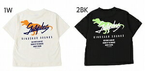�y�Z�[�����i�z���t�ď��i�yGROOVY COLORS/�O���[���B�[�J���[�Y�z�y42520411�z�e���W�N DINOSAUR SOUNDS TEE(90~120)�g�b�v�X/T�V���c/�J�b�g�\�[/����/����/�L�b�Y