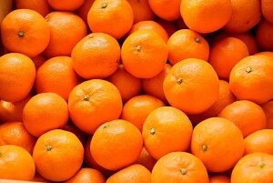 󂠂 Lc݂ a̎RY ƒp  10kg