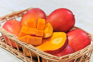 �󂠂�A�b�v���}���S�[ 1kg �{�Ó��Y�ƒ�p ���n ���ꌧ