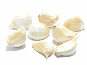 ɂɂ XY 󂠂 o 250g PA X jjN Xɂɂ YjjN 󂠂ɂɂ e [ zB nzCg