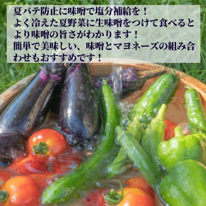 楽天市場 天然醸造 玄米 完熟 味噌 850g 赤みそ 米みそ 玄米みそ 味噌 Miso 無添加 コシヒカリ 玄米 麹 糀 こうじ 長期熟成 ビタミン ミネラル 健康 味噌汁 生みそ 千葉 国産 こだわり 離乳食 グルメ 敬老 まろやか もろきゅう ギフト