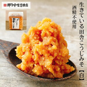 Ăcɂ݂ () 700g| X ݂ 𐸕sgp VR X n  Y