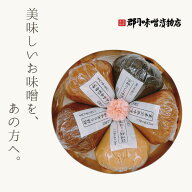 味噌 ソムリエ が選んだ 天然醸造味噌 5点セット 各250g｜合わせみそ 赤みそ 白みそ 赤だし 玄米 もち米 …