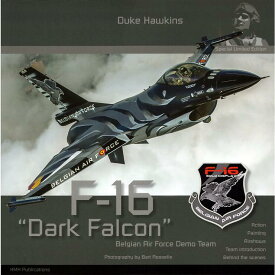 Special Limited Edition SLE001 F-16 "Dark Falcon"