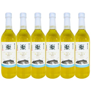 CBT Mt.FUJI 香駿 720ml 静岡産 高級 春摘み 希少 緑茶 ギフト用 ボトルティー 富士山麓 国産 ノンアルコール 贈答品 誕生日 母の日 父の日 敬老の日 御礼 御祝 結婚祝 内祝 御中元 御歳暮 御年賀