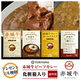 赤城牛ビーフカレー 化粧箱入 ブランド牛 レトルトカレー 本格 高級 赤城牛 ビーフカレー レトルト ビーフ カレー レトルト食品 お試し ご当地 グルメ おいしい 鳥山畜産 箱入り プチギフト 引越し挨拶 御礼 手土産 イベント 御礼 挨拶 母の日 敬老の日 ホワイトデー