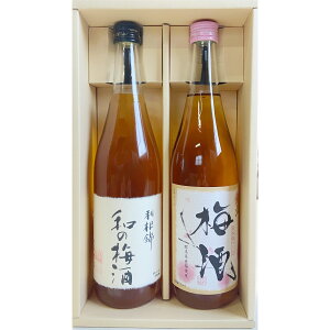  Qn̔~ ݔ׃Zbg 720ml 2{yi{ƁEq𑢁z