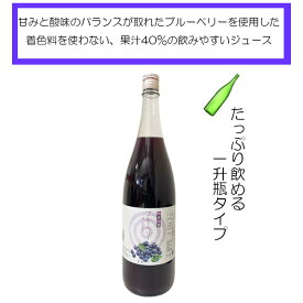 ブルーベリー果汁(40％)入り飲料 1800ml【川場村農産加工株式会社】