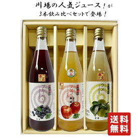 送料無料【川場村農産加工株式会社 ジュース詰合せ 3本 720ml】敬老の日 ブルーベリー りんご うめ リンゴジュース ブルーベリージュース うめジュース 健康 川場 プレゼント ギフト 飲み比べ 群馬 贈り物 内祝い 美容 誕生日
