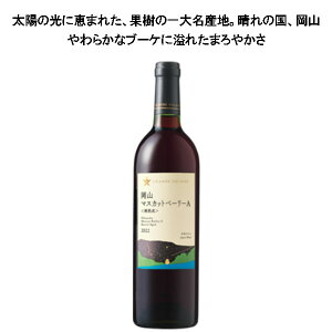 yO|[ R}XJbgx[[AMn 720mlzTb|r[ C   zCgf[ v[g Mtg ݔ Qn 蕨 j C L[ a