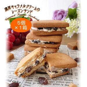 ZLN[̃[YTh@5×1 yQnyYz܂{܁@yY Mtg Ԃ  z₷  mc L mَq