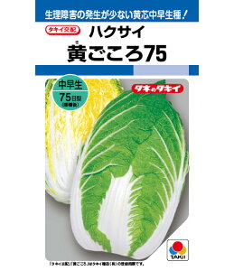 ňl풆 ^LC 75 DF  nNTC ͂ q   ^l ؎  ƒ؉
