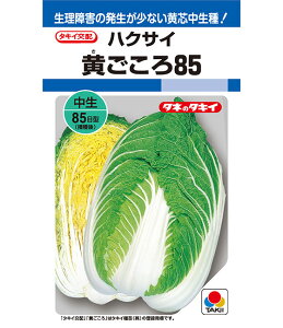 ňl풆 ^LC 85 ybg100 DF  nNTC ͂ q   ^l ؎  ƒ؉