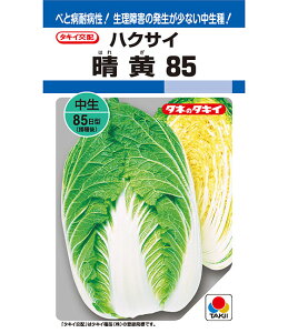 ňl풆 ^LC 85 ybg100 DF  nNTC ͂ q   ^l ؎  ƒ؉