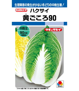 ňl풆 ^LC 90 DF  nNTC ͂ q   ^l ؎  ƒ؉