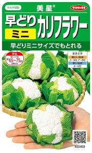 ňl풆 TJ^   ǂ Jt[ ~jJt[ q   ^l ؎  ƒ؉