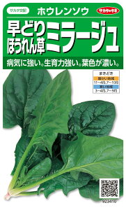 ňl풆 TJ^ ~[W  M3 @@ zE\E ق񂻂 q   ^l ؎  ƒ؉