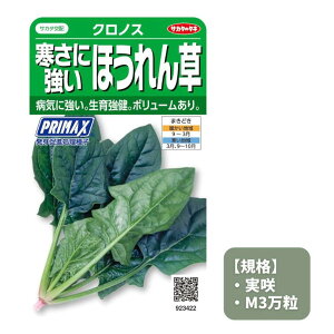 最安値挑戦中 サカタ クロノス 実咲 M3万粒 法蓮草 ホウレンソウ ほうれんそう 寒さに強い 野菜 野菜種 種子 種 たね タネ 家庭菜園 育てやすい