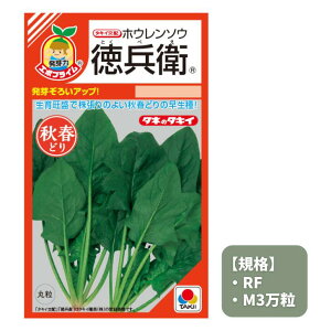 ňl풆 ^LC q RF M3 @@ zE\E ق񂻂 q   ^l ؎  ƒ؉