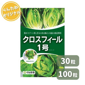 񂽂 W^X NXtB[1 R[gq 30 100 ^X ꂽ  ؎ q   ^l ƒ؉ Ă₷