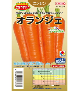 ňl풆 ^LC IWF ybg500 lQ jW ɂ񂶂 q   ^l ؎  ƒ؉