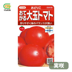 �ň��l���풆 �T�J�^ ���ǂ肱 ���� ���Ă����ʃg�}�g �g�}�g �Ƃ܂� ��q �� ���� �^�l ��؎� ��� �ƒ�؉�