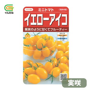 �ň��l���풆 �T�J�^ �C�G���[�A�C�R ���� �~�j�g�}�g ��q �� ���� �^�l ��؎� ��� �ƒ�؉�