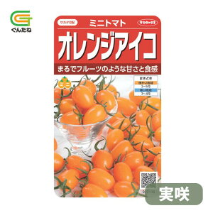 �ň��l���풆 �T�J�^ �I�����W�A�C�R ���� �~�j�g�}�g ��q �� ���� �^�l ��؎� ��� �ƒ�؉�