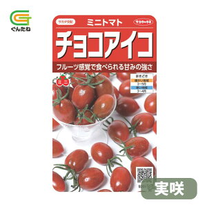 �ň��l���풆 �T�J�^ �`���R�A�C�R ���� �~�j�g�}�g ��q �� ���� �^�l ��؎� ��� �ƒ�؉�