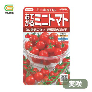 �ň��l���풆 �T�J�^ �~�j�L������ ���� ���Ă���~�j�g�}�g �~�j�g�}�g ��q �� ���� �^�l ��؎� ��� �ƒ�؉�