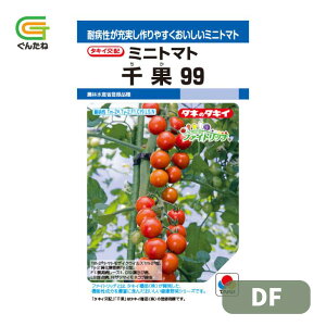 �ň��l���풆 �^�L�C ���99 DF �~�j�g�}�g ��q �� ���� �^�l ��؎� ��� �ƒ�؉�