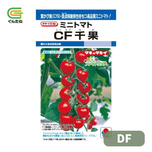 �ň��l���풆 �^�L�C CF��� DF �~�j�g�}�g ��q �� ���� �^�l ��؎� ��� �ƒ�؉�