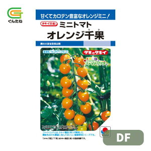 �ň��l���풆 �^�L�C �I�����W��� DF �~�j�g�}�g ��q �� ���� �^�l ��؎� ��� �ƒ�؉�