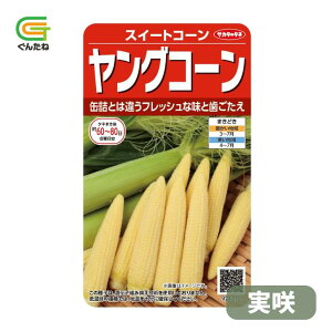 �ň��l���풆 �T�J�^ �����O�R�[�� ���� �X�C�[�g�R�[�� �g�E�����R�V �Ƃ����낱�� ��q �� ���� �^�l ��؎� ��� �ƒ�؉�