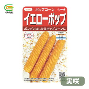 �ň��l���풆 �T�J�^ �C�G���[�|�b�v ���� �|�b�v�R�[�� �g�E�����R�V �Ƃ����낱�� ��q �� ���� �^�l ��؎� ��� �ƒ�؉�