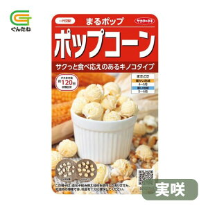 �ň��l���풆 �T�J�^ �܂�|�b�v ���� �|�b�v�R�[�� �g�E�����R�V �Ƃ����낱�� ��q �� ���� �^�l ��؎� ��� �ƒ�؉�