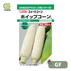 �ň��l���풆 �^�L�C �z�C�b�v�R�[�� GF �X�C�[�g�R�[�� �g�E�����R�V �Ƃ����낱�� ��q �� ���� �^�l ��؎� ��� �ƒ�؉�