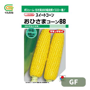 �ň��l���풆 �^�L�C ���Ђ��܃R�[��88 GF �X�C�[�g�R�[�� �g�E�����R�V �Ƃ����낱�� ��q �� ���� �^�l ��؎� ��� �ƒ�؉�