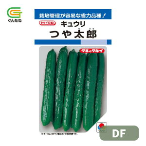 �ň��l���풆 �^�L�C �⑾�Y DF �ӉZ �L���E�� ���イ�� ��q �� ���� �^�l ��؎� ��� �ƒ�؉�