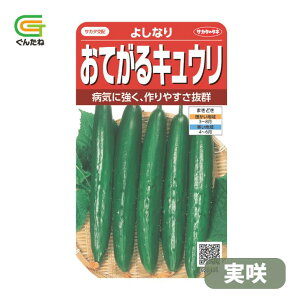 �ň��l���풆 �T�J�^ �悵�Ȃ� ���� ���Ă���L���E�� �ӉZ �L���E�� ���イ�� ��q �� ���� �^�l ��؎� ��� �ƒ�؉�