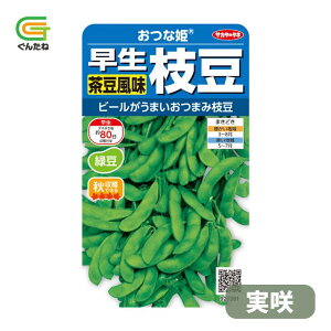 �ň��l���풆 �T�J�^ ���ȕP ���� �������� �Γ� �}�� �G�_�}�� �����܂� ��q �� ���� �^�l ��؎� ��� �ƒ�؉�