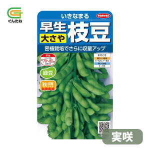 �ň��l���풆 �T�J�^ �����Ȃ܂� ���� ���� �傳�� �Γ� �}�� �G�_�}�� �����܂� ��q �� ���� �^�l ��؎� ��� �ƒ�؉�