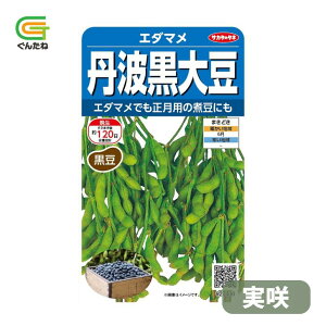 �ň��l���풆 �T�J�^ �O�g���哤 ���� ���� �}�� �G�_�}�� �����܂� ��q �� ���� �^�l ��؎� ��� �ƒ�؉�