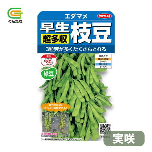 �ň��l���풆 �T�J�^ �����Ղ� ���� ���� ������ �Γ� �}�� �G�_�}�� �����܂� ��q �� ���� �^�l ��؎� ��� �ƒ�؉�