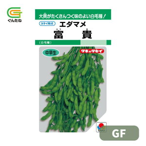 �ň��l���풆 �^�L�C �x�M GF ������ �}�� �G�_�}�� �����܂� ��q �� ���� �^�l ��؎� ��� �ƒ�؉�