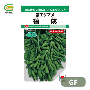 �ň��l���풆 �^�L�C ���� GF ������ ���G�_�}�� �}�� �G�_�}�� �����܂� ��q �� ���� �^�l ��؎� ��� �ƒ�؉�