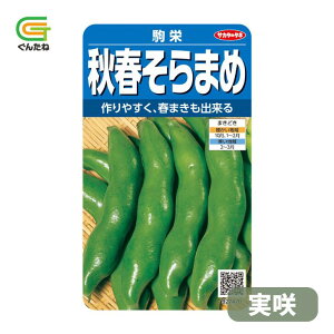 �ň��l���풆 �T�J�^ ��h ���� �H�t �\���}�� ����܂� ��q �� ���� �^�l ��؎� ��� �ƒ�؉�