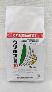 ňl풆 O䉻wAO EzX10 3kg  p  _ | K[fjO 